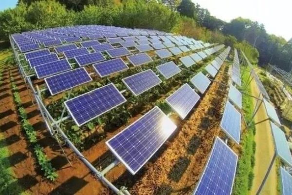 光伏農業電站典型設計方案